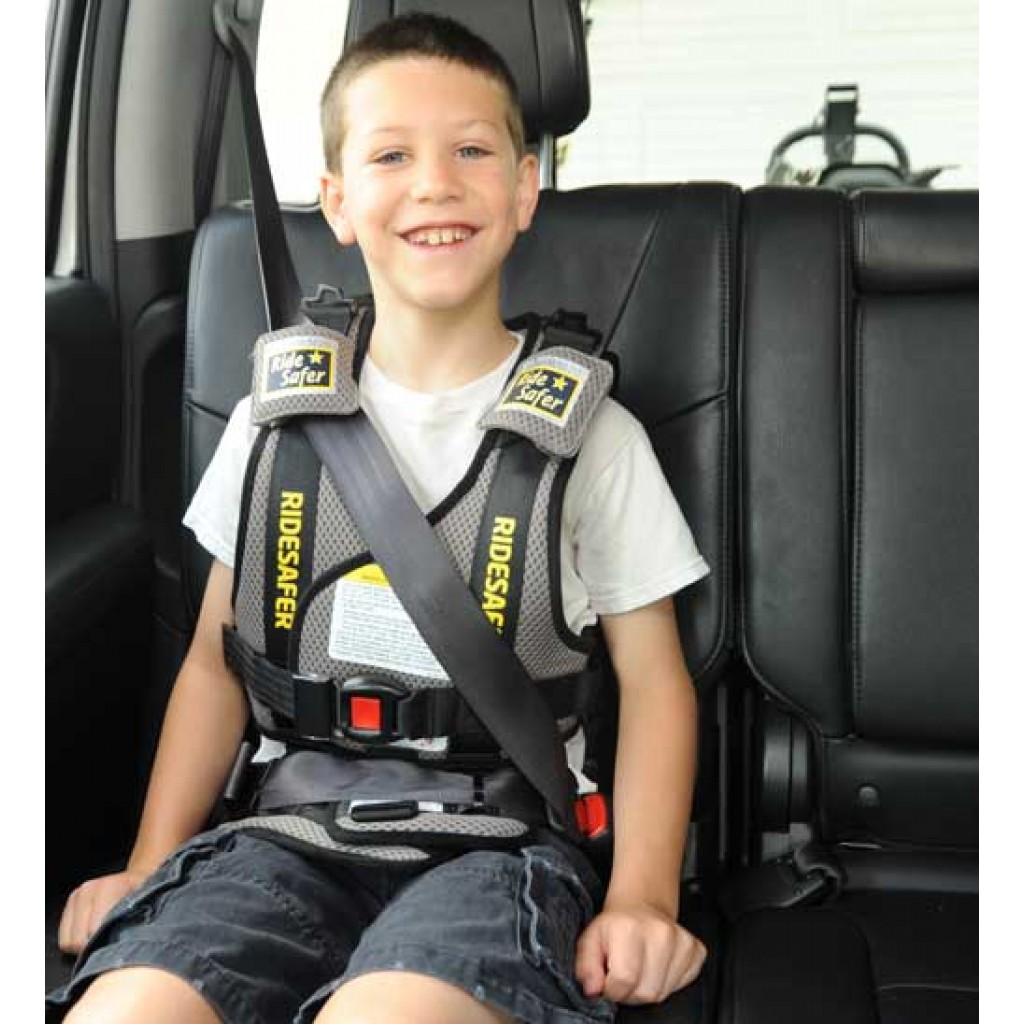 travel car harness for toddlers