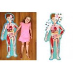 Shaped Puzzle + Book - Travel, Learn and Explore The Human Body - Sassi Junior - BabyOnline HK