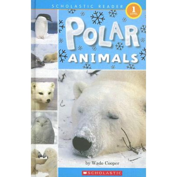 Scholastic Reader Level 1 - Polar Animals - Scholastic - BabyOnline HK