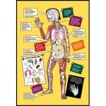The Magic School Bus - A Journey into the Human Body - Scholastic