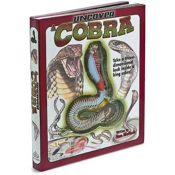 Uncover A Cobra - Silver Dolphin - BabyOnline HK