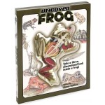 Uncover A Frog - Silver Dolphin - BabyOnline HK