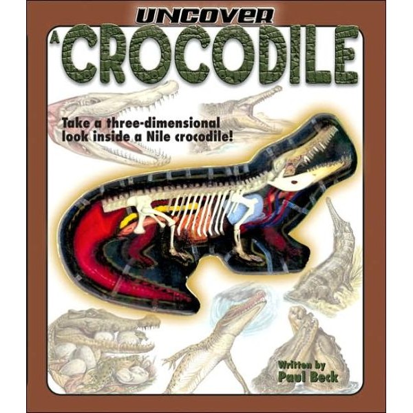 ncover A Crocodile - Silver Dolphin - BabyOnline HK