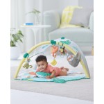 Tropical Paradise Activity Gym & Soother - Skip*Hop - BabyOnline HK