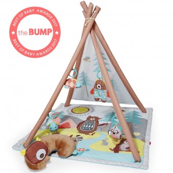 Camping Cubs Baby Activity Gym