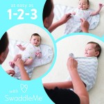 SwaddleMe - Love Sack (S/M) (Chevron) - Summer Infant - BabyOnline HK