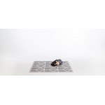 Prettier Playmat - Nordic Collection - Pebble (120 x 180cm) - ToddleKind - BabyOnline HK