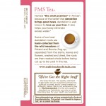 PMS Tea - Caffeine Free (16 Tea Bags) 28 g - Traditional Medicinals - BabyOnline HK