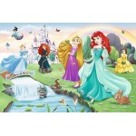 Disney Princess Puzzle - Meet the Princesses (60 pcs) - Trefl - BabyOnline HK