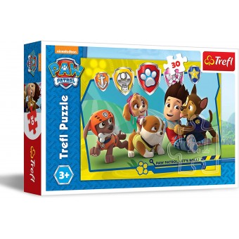 Paw Patrol Puzzle - Ryder and Friends (30 pcs)