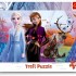 Frame Puzzle - Disney Frozen II - Anna and Elsa's Magical World (15 pcs)