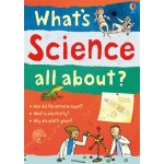 What's Science All About? - Usborne - BabyOnline HK