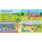 Look Inside Food (Flap Book) - Usborne - BabyOnline HK