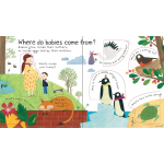 Lift-the-Flap - Where do babies come from? - Usborne - BabyOnline HK