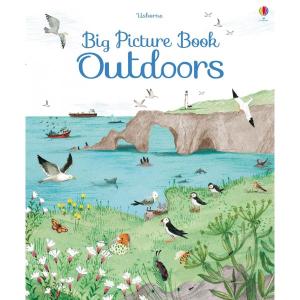 Usborne Big Picture Book - Outdoors - Usborne - BabyOnline HK