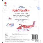 Look Inside Wild Weather (Flap Book) - Usborne - BabyOnline HK
