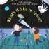 Usborne - Lift-the-Flap - What's it like in Space?