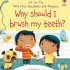 Usborne - Lift-the-Flap - Very First Q&A - Why Should I Brush My Teeth?