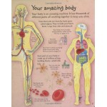 See Inside Your Body (Flap Book) - Usborne - BabyOnline HK