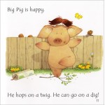 Phonics Readers - Big Pig on a Dig - Usborne - BabyOnline HK