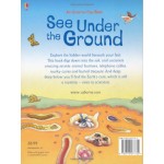 See Under the Ground (Flap Book) - Usborne - BabyOnline HK