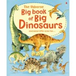 Big Book of Big Dinosaurs - Usborne - BabyOnline HK