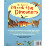 Big Book of Big Dinosaurs - Usborne - BabyOnline HK