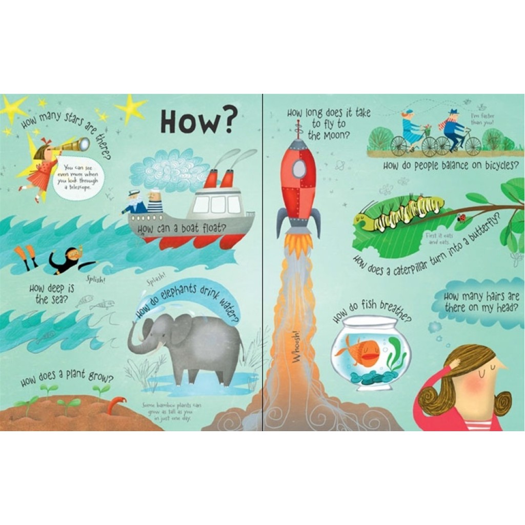 Usborne - Lift-the-Flap - Questions and Answers - BabyOnline