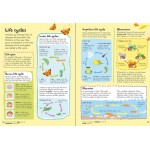 Junior Illustrated Science Dictionary - Usborne - BabyOnline HK
