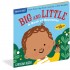 Indestructibles Book for Baby - Big and Little - A Book of Opposites