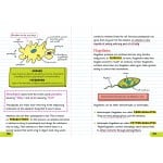 Everything You Need to Ace Biology in One Big Fat Notebook - Workman