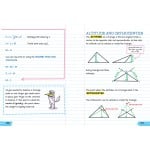 Everything You Need to Ace Geometry in One Big Fat Notebook - Workman