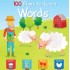 100 Flaps to Learn - Words
