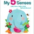 My 5 Senses